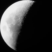 Mond